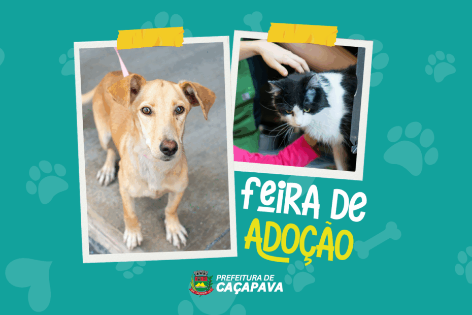Feira de Adoção acontece no dia 02 de agosto na Praça da Bandeira