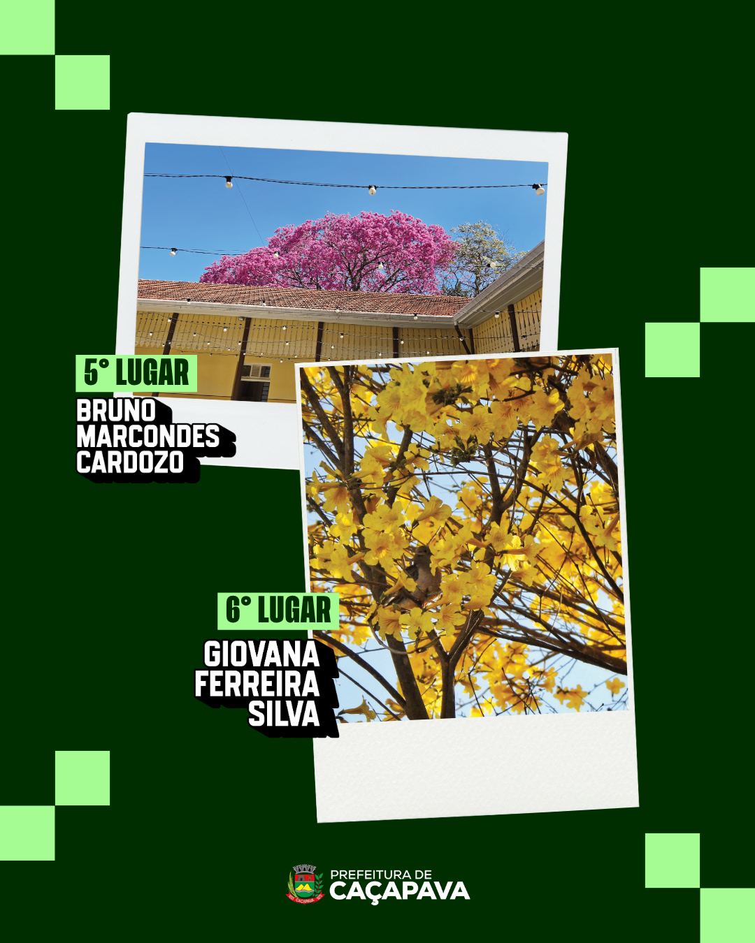 Exposição Ipês Caçapava Abertura