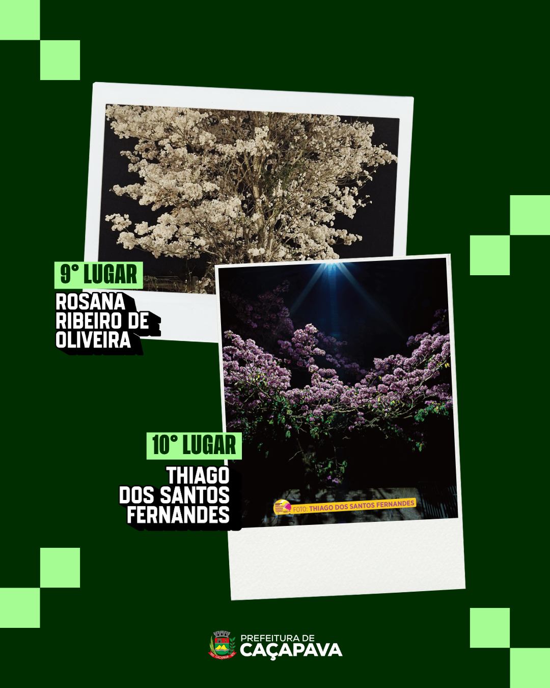 Exposição Ipês Caçapava Abertura